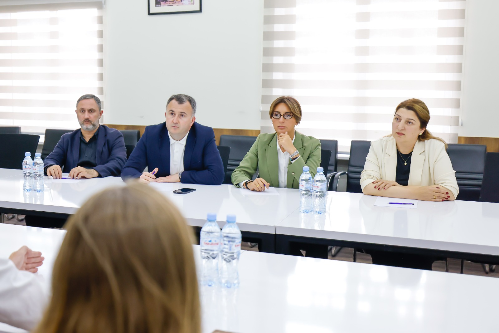 შეხვედრა სოციალური პედაგოგიკისა და საინფორმაციო ტექნოლოგიების გერმანელ ექსპერტებთან