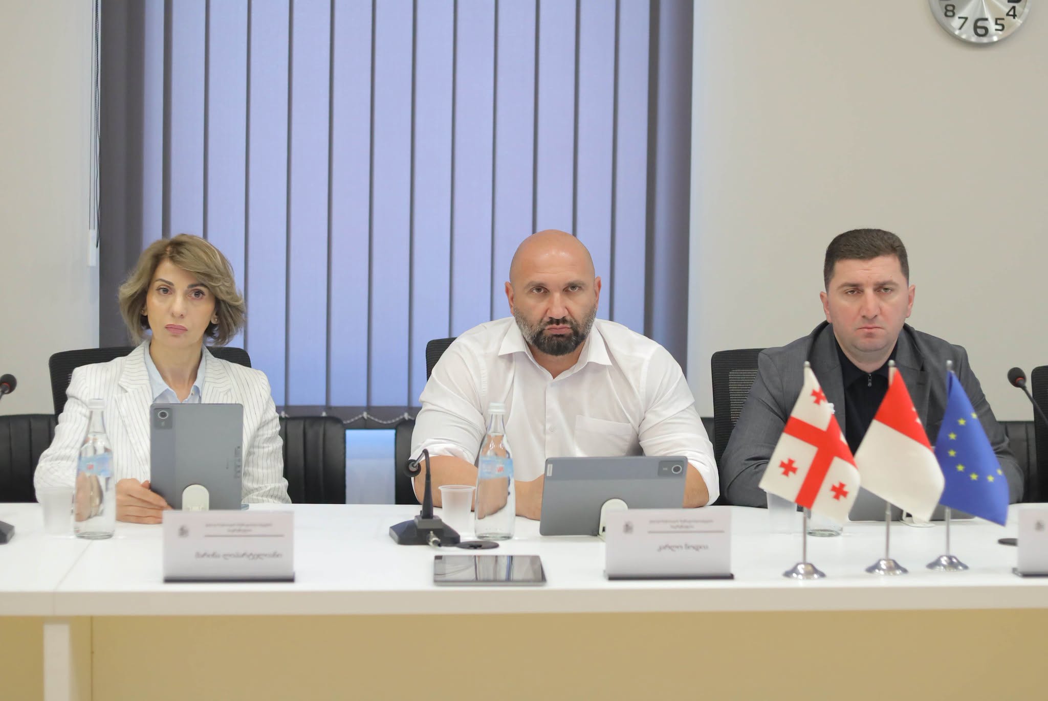 ქონების მართვისა და ბუნებრივი რესურსების საკითხთა კომისიის მორიგი სხდომა გაიმართა