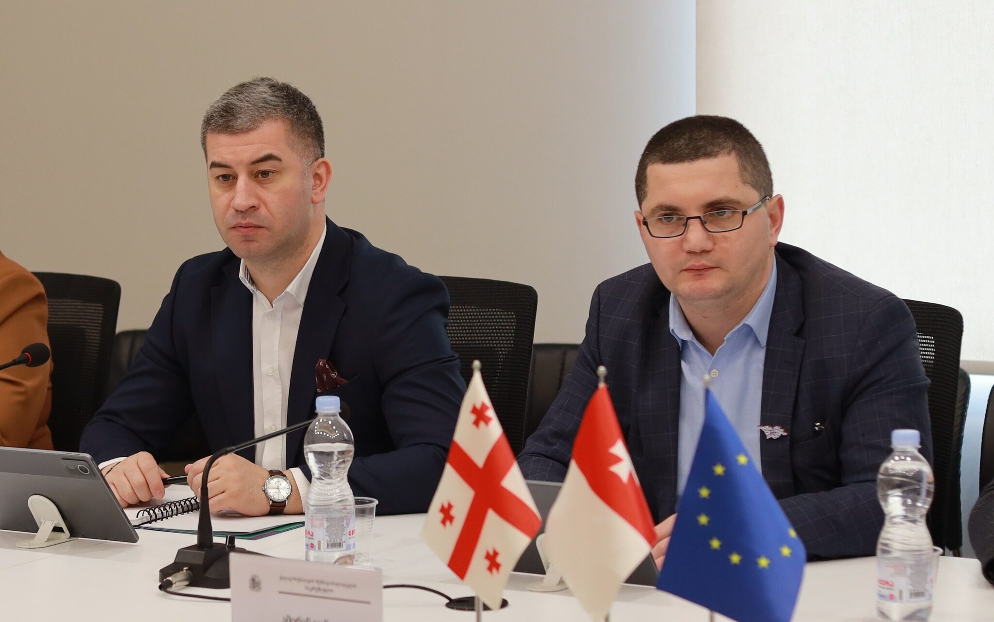 სამანდატო, საპროცედურო საკითხთა და ეთიკის კომისიის რიგით N6 სხდომა გაიმართა
