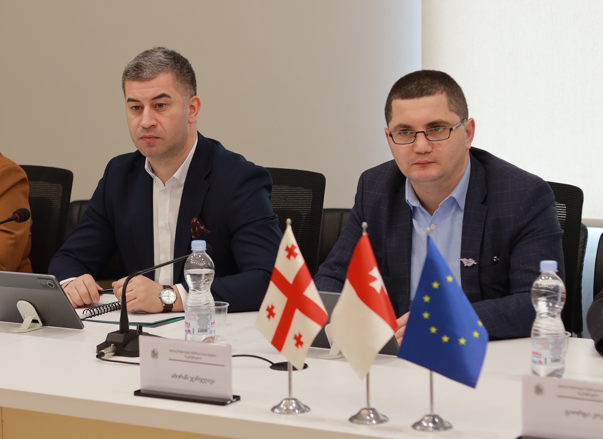 სამანდატო, საპროცედურო საკითხთა და ეთიკის კომისიის რიგით N6 სხდომა გაიმართა